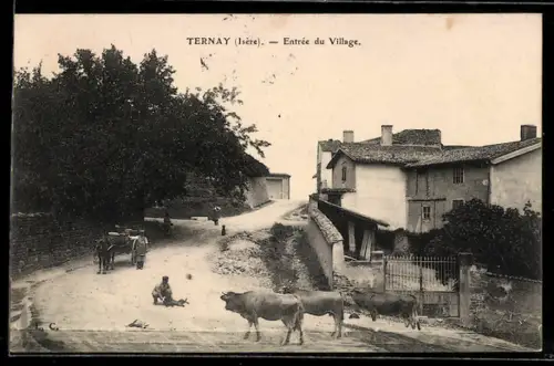 AK Ternay /Isére, Entrée du Village