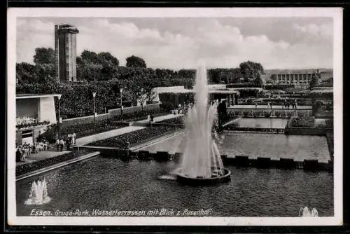 AK Essen, Gruga-Park, Wasserterrassen mit Blick zum Rosenhof, Ausstellung