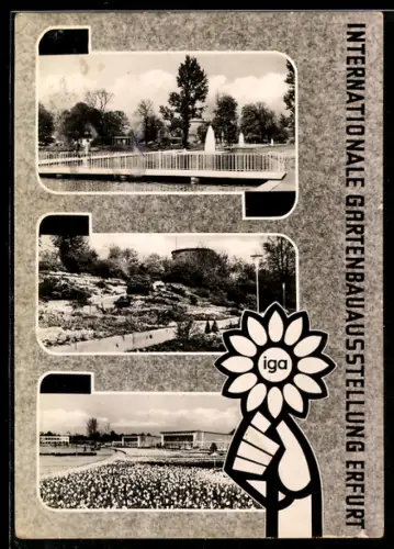 AK Erfurt, Internationale Gartenbau-Ausstellung der sozialistischen Staaten 1961, Blick auf die Ausstellungsanlagen
