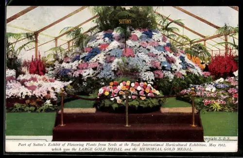 AK London-Chelsea, International Horticultural Exhibition 1912, Sutton`s Exhibit of Flowering Plants