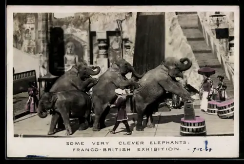 AK London, Franco-British Exhibition 1908, Some very clever elephants, Dressierte Elefanten
