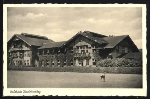 AK Sommerfeld, Waldhaus Charlottenhöhe