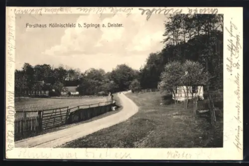 AK Springe a. Deister, Forsthaus Köllnischfeld