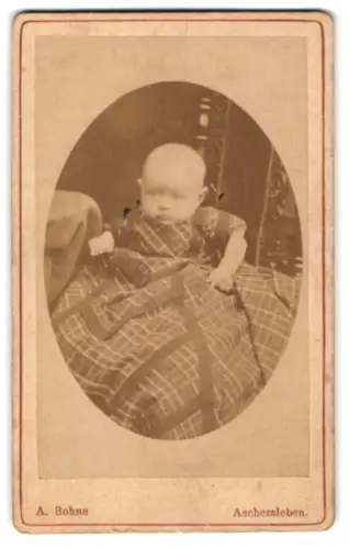 Fotografie A. Bohne, Aschersleben, Markt 25, Porträt eines Kleinkindes