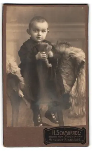 Fotografie H. Schmorrde, Herrnhut, Kleinkind mit Teddy-Bär