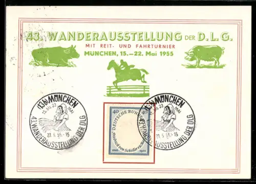 AK München, 43. Wanderausstellung der D.L.G. 1955, Pferd, Kuh und Reiter