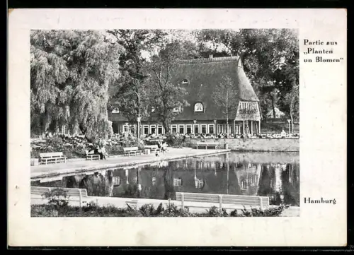 AK Hamburg-St.Pauli, Partie aus den Planten un Bloomen