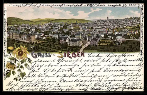 Lithographie Siegen, Totalansicht