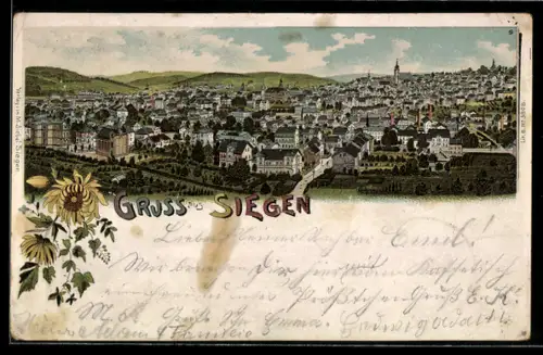 Lithographie Siegen, Gesamtansicht
