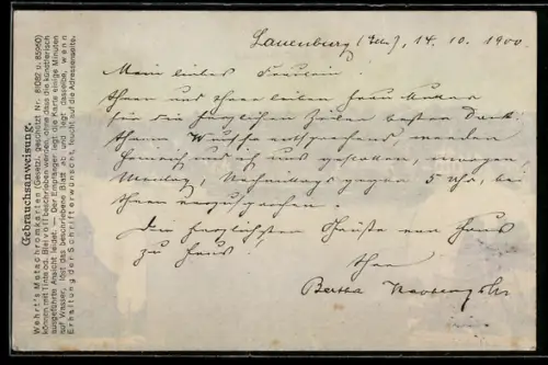 AK Lauenburg a. E., Ortsansichten, Metachromkarte