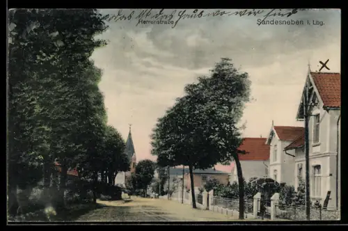 AK Sandesneben i. Lbg., Herrenstrasse mit Bäumen