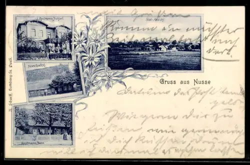 AK Nusse, Peter`s Gasthof, Kautmann Benn und Kautmann Buhlert, Totalansicht des Ortes