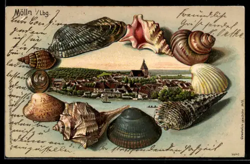 Passepartout-Lithographie Mölln, Panoramablick auf die Stadt, Ansicht von Muscheln gerahmt