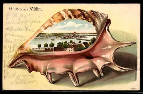 Passepartout-Lithographie Mölln, Ansicht der Ortschaft in einer Muschel