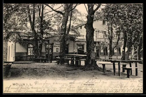 AK Mölln i. L., Gasthof Waldhalle mit Grünanlage und Sitzgelegenheiten