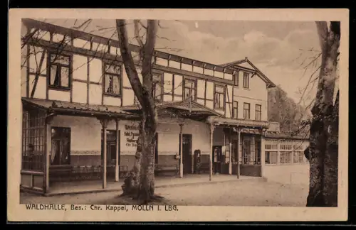 AK Mölln i. Lbg., Gasthaus Waldhalle, Bes.: Chr. Kappel