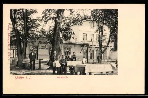 AK Mölln i. L., Gasthaus Waldhalle mit Terrasse