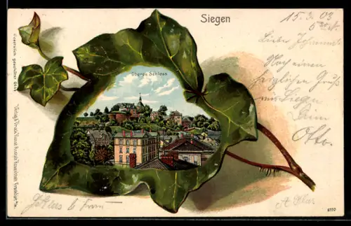 Passepartout-Lithographie Siegen, Partie am oberen Schloss in einem Eichenblatt