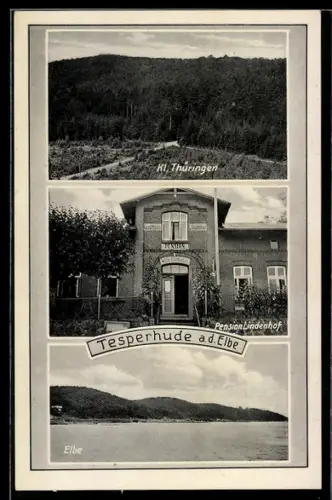 AK Tesperhude a. d. Elbe, Kl. Thüringen Panorama und Gasthaus Lindenhof von Wilh. Fürböter