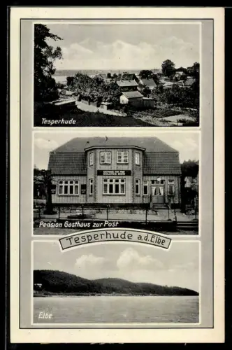 AK Tesperhude a. d. Elbe, Kl. Thüringen Panorama und Gasthaus Lindenhof von Wilh. Fürböter