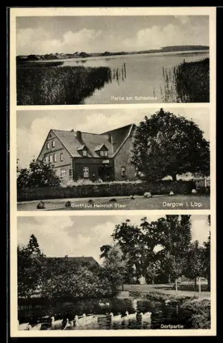 AK Dargow i. Lbg., Partie am Schaalsee, Gasthaus Heinrich Steer und Teich mit Enten
