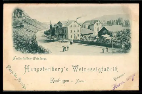 AK Esslingen a. N., Hengstenbergs Weinessigfabrik mit Strasse u. Neckarhalden-Weinbergen, Besuchs-Anzeige