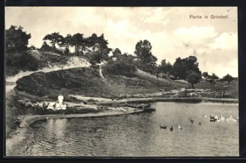 AK Tesperhude, Grünhof, Partie am See mit Uferweg