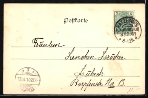 Passepartout-AK Ratzeburg, Panorama