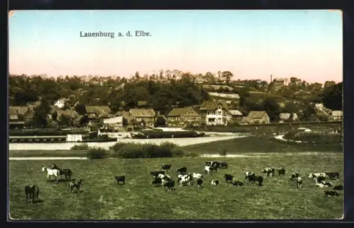 AK Lauenburg a. d. Elbe, Ortsansicht mit Kuhherde im Vordergrund