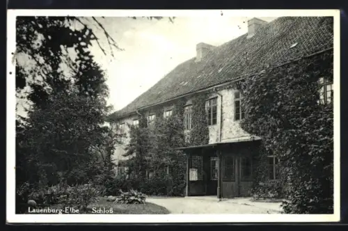 AK Lauenburg /Elbe, Schloss mit teils verwachsener Fassade