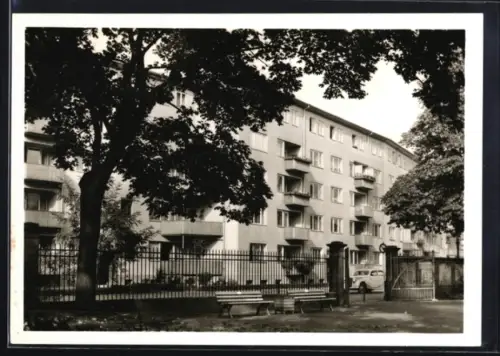 AK Frankfurt a. M.-Westend, Oberlindau, Wohnhäuser, Parkbänke, Strassenansicht