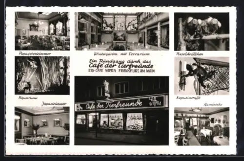 AK Alt-Frankfurt, Eiscafe Wipra / Café der Tierfreunde, Wintergarten mit Terrarium, Pinguinzimmer, Kapuzineräffchen