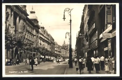 AK Frankfurt a. M., Zeil, Strassenansicht, Apotheke, Gaststätte Binding`s Braustübl, Strassenbahn