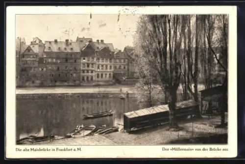 AK Frankfurt a. M., Alte Mainbrücke, Müllermain von der Brücke aus