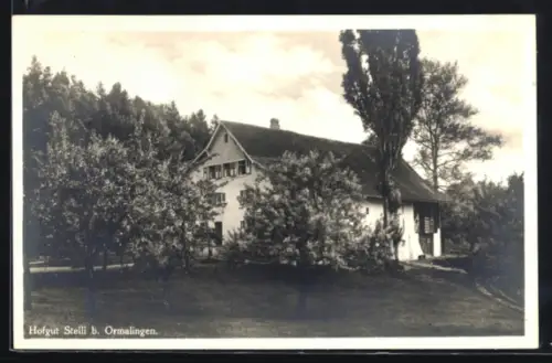 AK Ormalingen, Hofgut Stelli