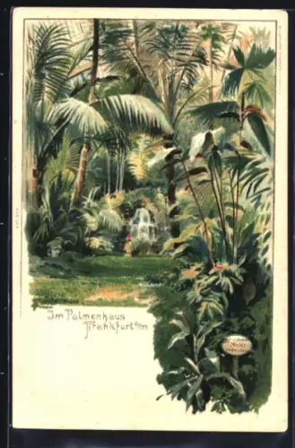 Lithographie Frankfurt-Westend, Palmenhaus, Innenansicht mit tropischen Pflanzen und Wasserfall