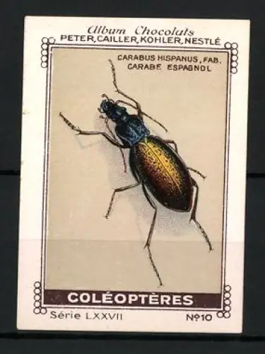 Reklamemarke Album Chocolats, Peter, Cailler, Kohler, Nestlé, Käfer-Illustration