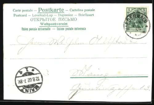 Lithographie Rüdesheim /Rhein, National-Denkmal, Rheinstein, Schweizerhaus