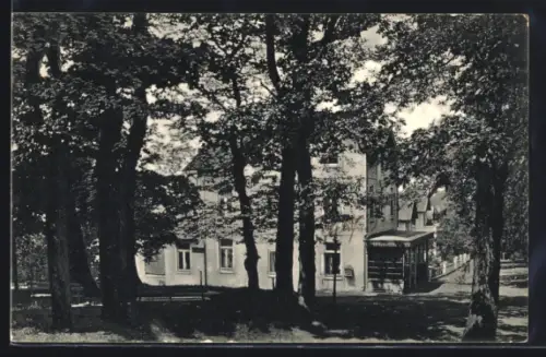 AK Mölln i. Lbg., Restaurant Waldfried