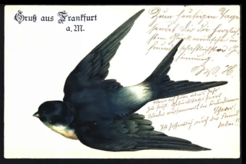 Präge-Lithographie Frankfurt a. M., Fliegende Schwalbe, Grusskarte