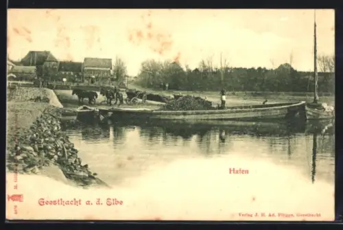AK Geesthacht a. d. Elbe, Hafenpanorama, Arbeiter, Pferde, Frachtschiff