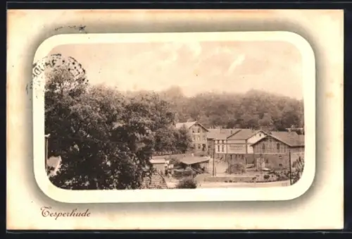 AK Tesperhude, Ortspartie mit Wichmanns Gasthof aus der Vogelschau