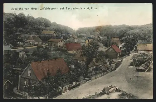 AK Tesperhude a. d. Elbe, Aussicht vom Hotel Waldesruh auf den Ort