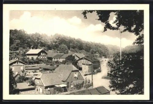 AK Tesperhude a. d. Elbe, Ortspanorama mit Strasse aus der Vogelschau