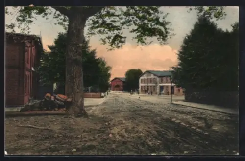 AK Nusse /Mölln, Strassenansicht mit Gasthaus und Bäumen