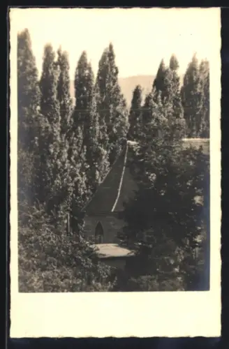 Foto-AK Erfurt, Brunnenkirche am Fischersand aus der Vogelschau