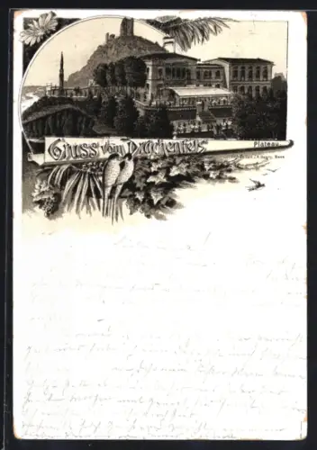 Lithographie Drachenfels, Plateau, Drachenfelsruine, Gaststätte-Aussichtsterrasse, Vogelpaar