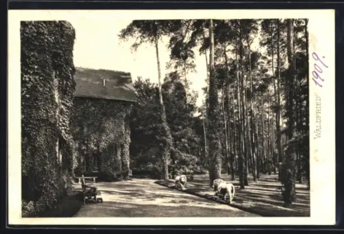 AK Frankfurt-Niederrad, Villa Waldfried, Teilansicht mit Löwenskulpturen im Park