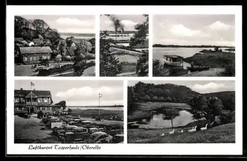 AK Tesperhude, Ortsansicht, Blick nach der Elbe, Partie am Elbufer mit Boot