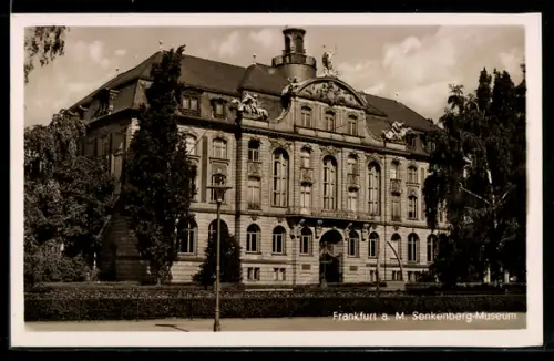 AK Frankfurt-Westend, Senkenberg-Museum